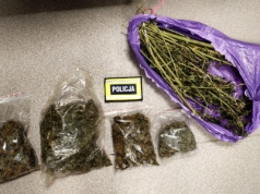 Jeden miał 770 gramów narkotyków – już trafił do aresztu, za drugim wydano za 3 listy gończe – obaj wpadli w Sulejowie