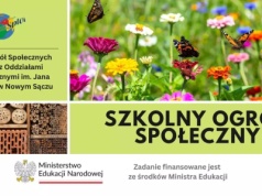Ogród, który nie zasypia. Szkolny Ogród Społeczny Liceum Splot w Nowym Sączu