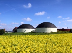 Nowa prezes zarządu i zmiany kadrowe w Polskiej Grupie Biogazowej