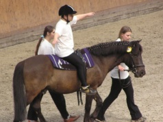 Dobro konia i psa przed dobrem dziecka? Zooterapia pod lupą animalsów