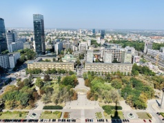 Ukraińska hołota opanowała park w Warszawie