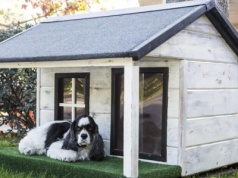 Obowiązkowa buda z izolacją cieplną. Do sejmu trafił prezydencki projekt zakazu trzymania zwierząt na uwięzi