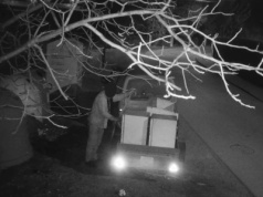 Technologia kontra śmieciarze. Fotopułapki pomogły ukarać mieszkańców Krakowa