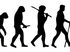 Wielkie znalezisko w Etiopii ujawnia prawdziwą historię ludzkości. Przed milionami lat żyły tam dwa homininy