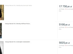 Kolacja marzeń z Natsu. Aukcja charytatywna, która podbija Internet