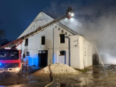 Cudem uratowane: konie przetrwały ogromny pożar w Mosznej