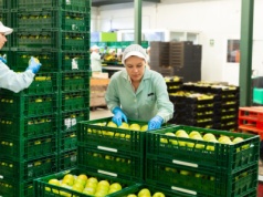 Polski gigant spożywczy ogłasza upadłość. Wierzyciele muszą się spieszyć