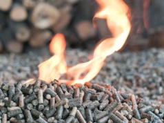 Brykiet z łuski słonecznika. Tańszy niż pellet i lepiej grzeje