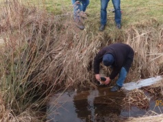 „Dzikie” rury z Podkarpacia. Śmierdziączka, Ryjak i inni cisi odbiorcy ścieków