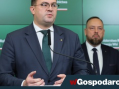 Truchło dzika z ASF podrzucone do zagłębia hodowli trzody