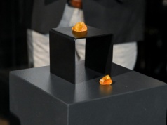 Bursztyn, który towarzyszył polskiemu astronaucie w kosmosie, wrócił do Gdańska