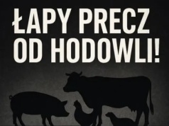 Rolnicy ostrzegają: dziś norki, jutro krowy i świnie! OOPR uderza w prezydencką decyzję
