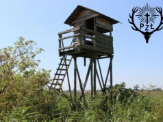 Wyślą myśliwych na obowiązkowe szkolenia? Szykuje się duża zmiana