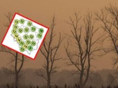 Nawet 14 stopni na termometrach. Idzie ocieplenie