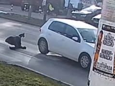 Piesza prawie uciekła, ale i tak została trafiona na pasach