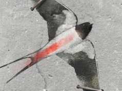 Film o uwięzionej dziennikarce Biełsatu można obejrzeć na czołowych platformach streamingowych