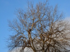 Pogoda na weekend | Ciepło jak na grudzień