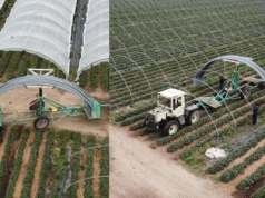 Budowa tuneli do uprawy truskawek i malin. Maszyna do rozstawiania i składania elementów konstrukcji