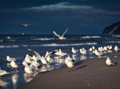 Coraz więcej sylwestrowych wyjazdów. Dwa kierunki dominują