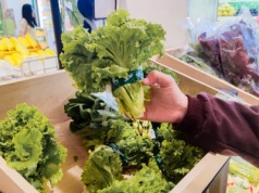 UE przestanie oznaczać GMO? Największe niemieckie sieci biją na alarm