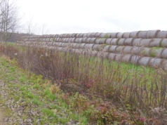 Odkrywaj wyjątkową przyrodę lasu "Ameryka"