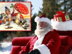 Święty Mikołaj to szaman z Syberii. Co ma wspólnego z muchomorem?