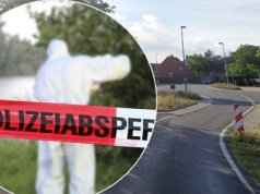 Myśliwi odkryli coś strasznego. Tkwiły w gęstwinie