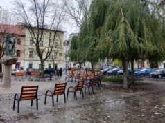 Plac Wolnica zyska nową, zieloną odsłonę. Rusza pierwsza faza zmian