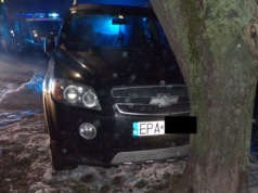 Rajd nastolatków zakończony na drzewie