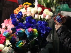 Kraków planuje nowe stoiska kwiatowe na Rynku Głównym