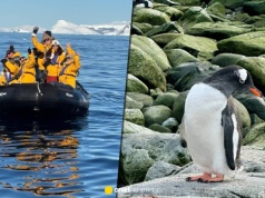 Tak wygląda wyprawa statkiem na Antarktydę. 