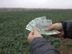 Kiedy KRUS wypłaci grudniowe emerytury i renty? Czy rolnicy otrzymają świadczenia przed świętami?