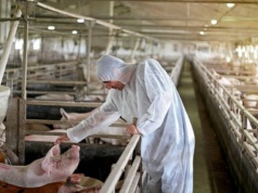 Powstało Polskie Stowarzyszenie Bioasekuracji. Eksperci łączą siły