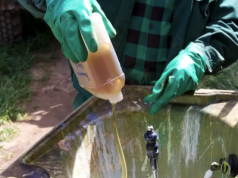 Jakie są rodzaje środków ochrony roślin i czym różnią się między sobą?