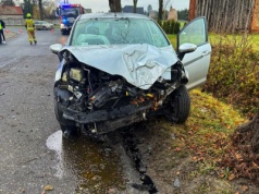Auto uderzyło w drzewo. Jedna osoba w szpitalu