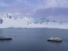 Wyjątkowe spotkanie. Miało miejsce u wybrzeży Antarktydy