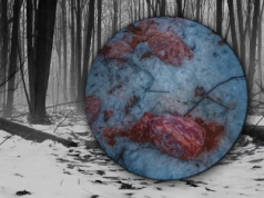 Szokujące znalezisko w lesie. „Głupota i skrajna ignorancja”