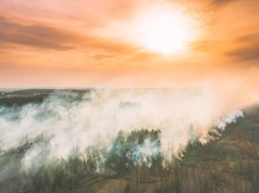 Popiół po letnich pożarach wciąż zanieczyszcza wody w Hiszpanii