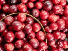 Wszyscy mówią, że jest dobra. Oto co naprawdę robi żurawina