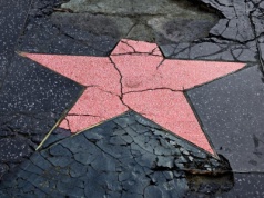 Dawna gwiazda spekulantów odbiła od dna. Rekomendacje sektorowe skupiły uwagę