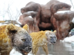 Pojawiły się nowe, wielkie drapieżniki. Wszyscy uciekli do jaskiń