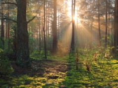 Dofinansowanie dla projektów teledetekcyjnych i geodezyjnych