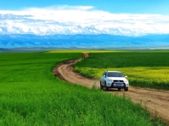 Nowy limit alkoholu we krwi kierowcy. Nadchodzi wielka drogowa rewolucja – szczególnie dla młodych!