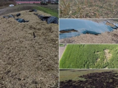 Pasza zniknęła, uprawy zniszczone. Rolnicy: za chwilę zbankrutujemy