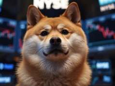 Spadek popytu na ETF-y Dogecoin. Bitcoin i Ethernum dominują na rynku