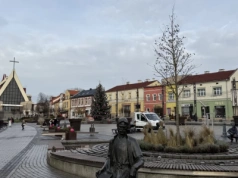 Prawie 10 tysięcy złotych za ambrowca na Rynku. To jednak koszt samego zakupu drzewa