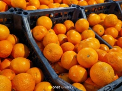 Wystarczy jeden trik w sklepie, a mandarynki będą zawsze słodkie i soczyste