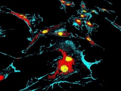 Złożone życie może być o miliard lat starsze niż sądziliśmy