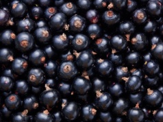 Amerykanie okrzyknęli ją "Smakiem Roku 2026". W Polsce mamy jej pod dostatkiem