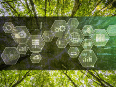 Geomatyka i sztuczna inteligencja w leśnictwie - studia podyplomowe